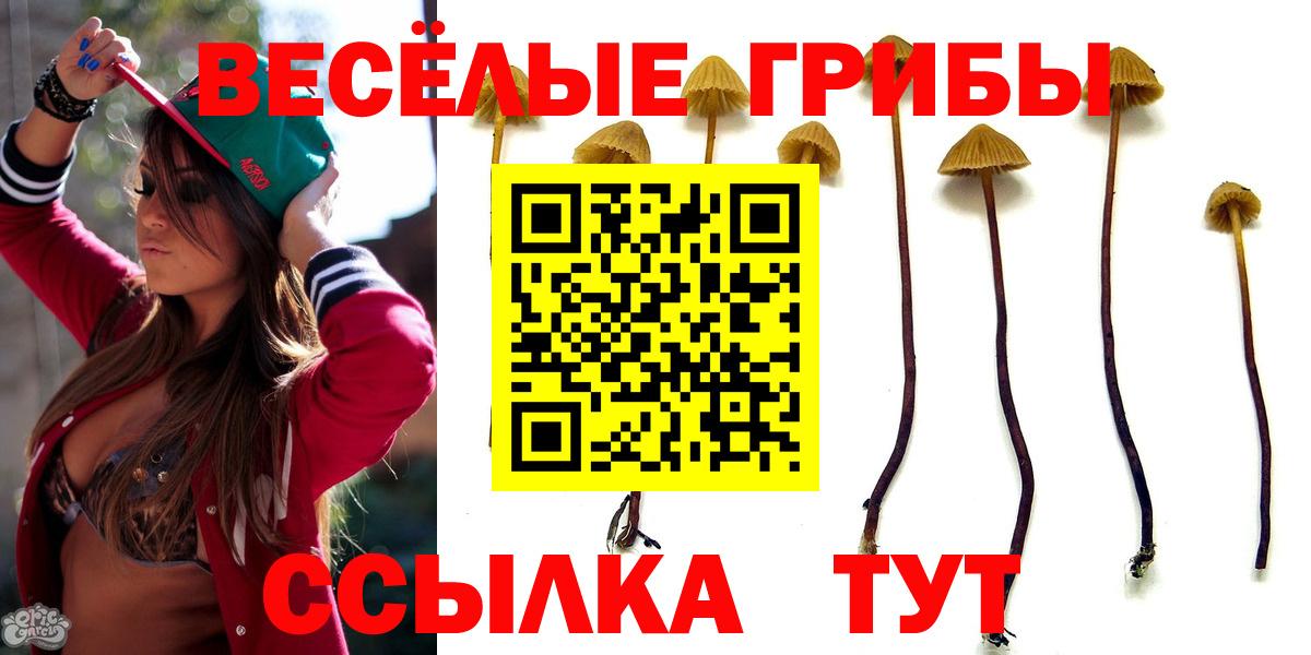 Ступино  Галлюциногенные грибы мицелий  Вход с VPN 