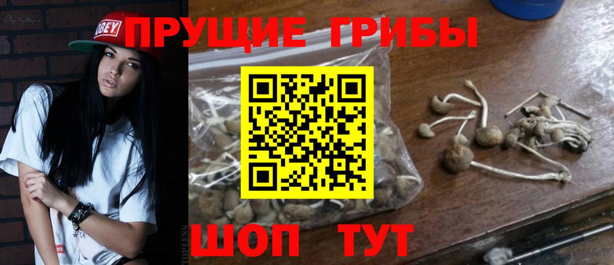 Галлюциногенные грибы Magic Shrooms Ступино