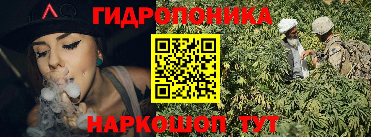 Канабис конопля Ступино